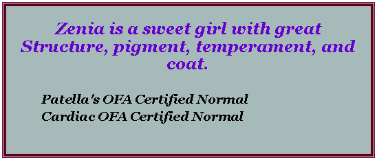 Text Box: Zenia is a sweet girl with great Structure, pigment, temperament, and coat.	Patella's OFA Certified Normal	Cardiac OFA Certified Normal