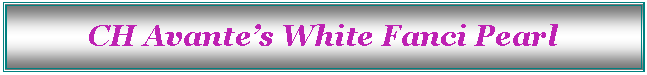 Text Box: CH Avante’s White Fanci Pearl