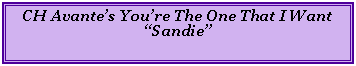 Text Box: CH Avante’s You’re The One That I Want “Sandie”