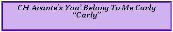 Text Box: CH Avante’s You’ Belong To Me Carly“Carly”