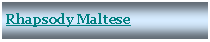 Text Box: Rhapsody Maltese