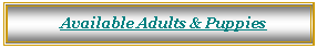 Text Box:             Available Adults & Puppies