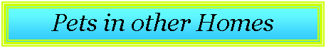 Text Box: Pets in other Homes