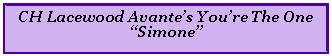 Text Box: CH Lacewood Avante’s You’re The One “Simone”