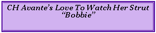 Text Box: CH Avantes Love To Watch Her Strut  Bobbie